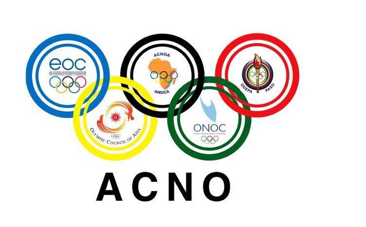 國家奧林匹克委員會協會