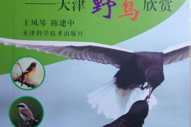 鳥類圖志 鳥類圖志