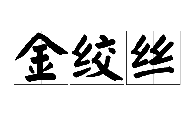 金絞絲 金絞絲