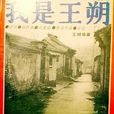 我是王朔 我是王朔