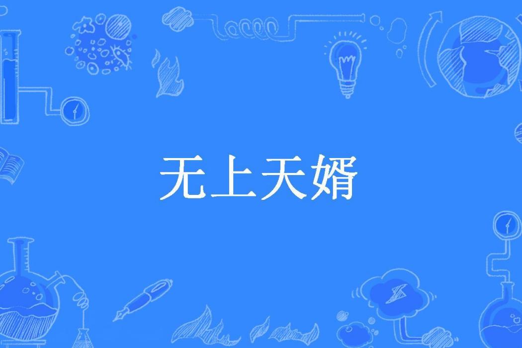 無上天婿