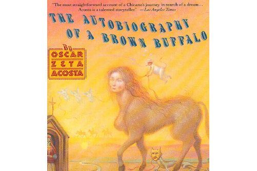 autobiography of a brown buffa autobiography of a brown buffa