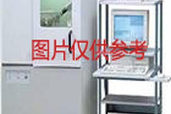 螢光PCR 螢光PCR
