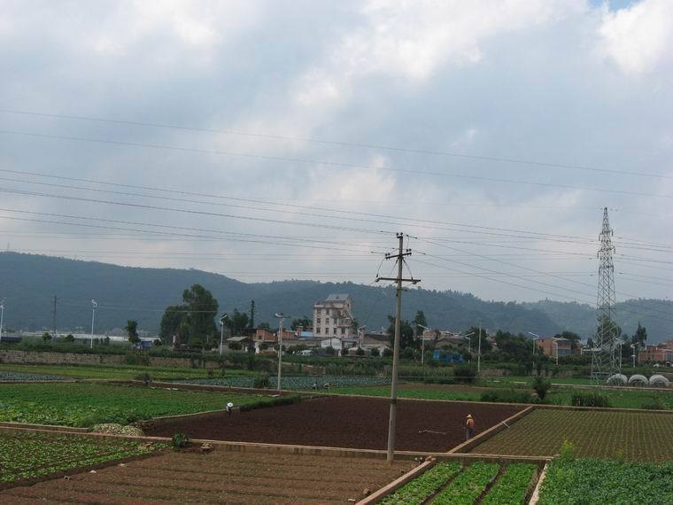 小鋪子村(雲南玉溪市通海縣興楊廣鎮下轄村) 小鋪子村(雲南玉溪市通海縣興楊廣鎮下轄村)