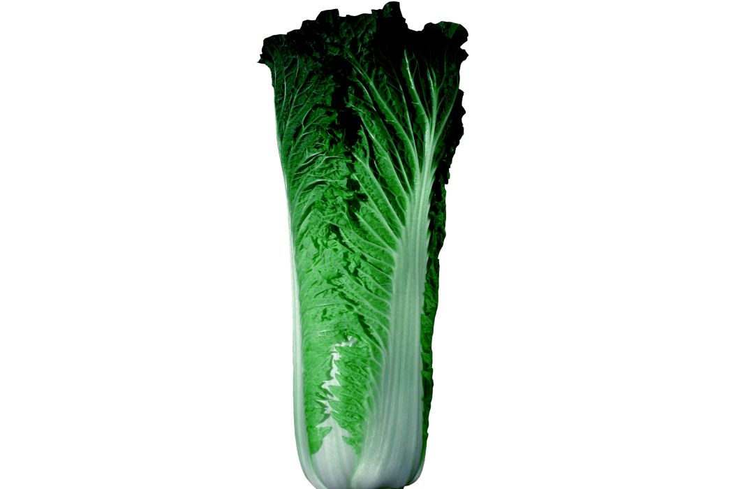 秋綠75 秋綠75