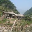 周家村(雲南省威信縣三桃鄉周家村) 周家村(雲南省威信縣三桃鄉周家村)