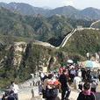 團體旅遊