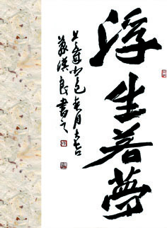 焦姣 焦姣