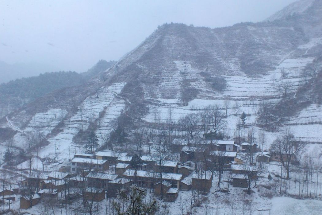 山根王坪 山根王坪