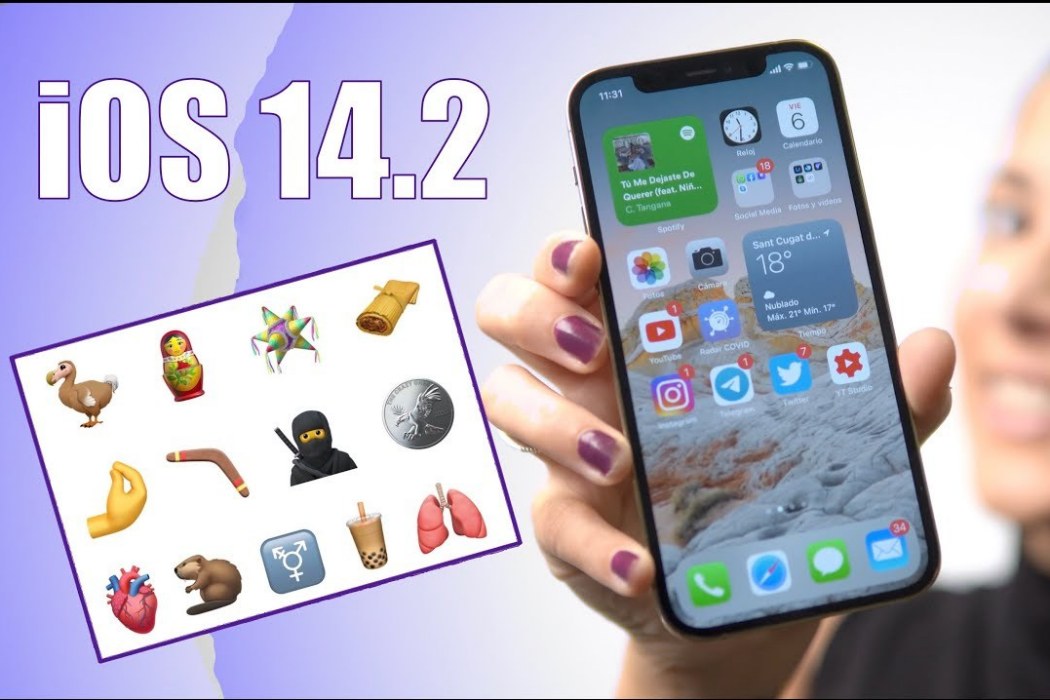 iOS 14.2 iOS 14.2