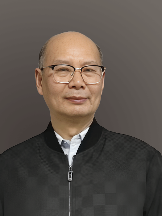 肖衡(福耀科技大學智造與未來技術學院教授)