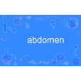 abdomen abdomen