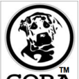 Gora(IT術語) Gora(IT術語)