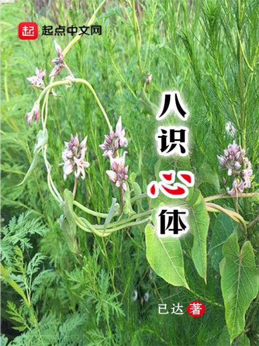 八識心體 八識心體