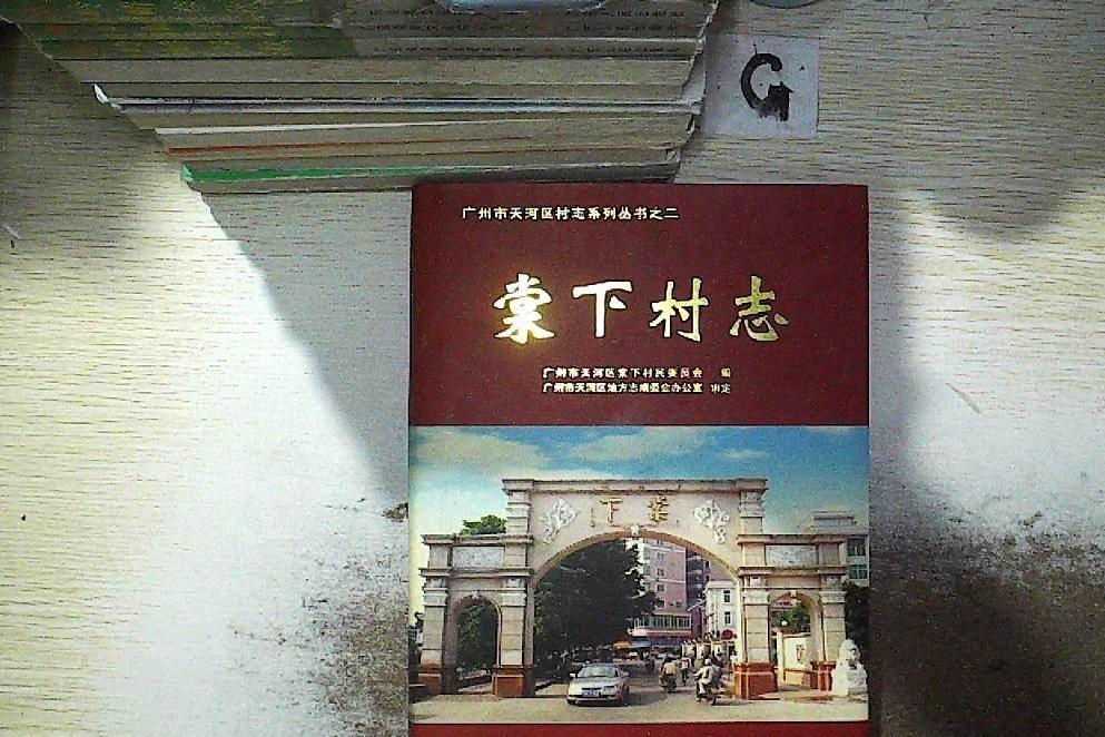 棠下村志 棠下村志