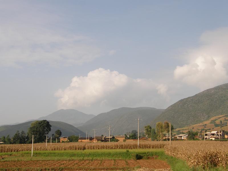 白草龍村 白草龍村