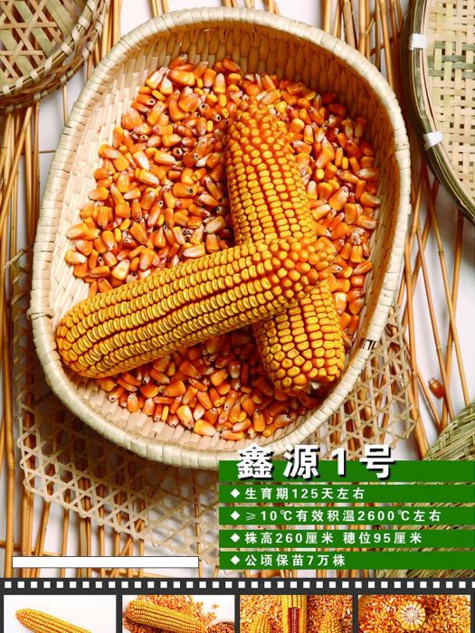 鑫源1號 鑫源1號