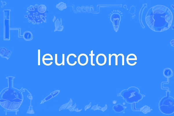 leucotome leucotome