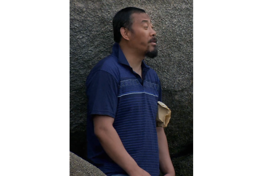洪雷(刑偵劇《代號藍色行動》中的角色) 洪雷(刑偵劇《代號藍色行動》中的角色)
