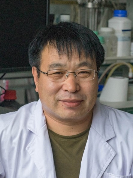 劉慶洪(中國農業大學園藝學院教授,藥用及食用真菌學專家) 劉慶洪(中國農業大學園藝學院教授,藥用及食用真菌學專家)