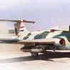 L-29無人機 L-29無人機