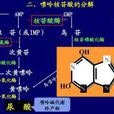 代謝拮抗物 代謝拮抗物
