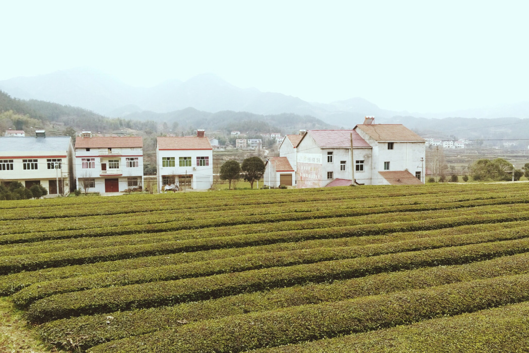 宋家榜村