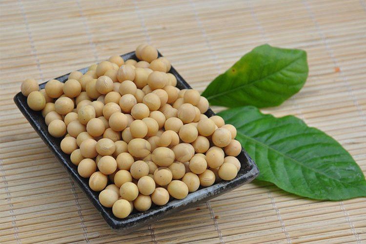 鮮磨大豆 鮮磨大豆