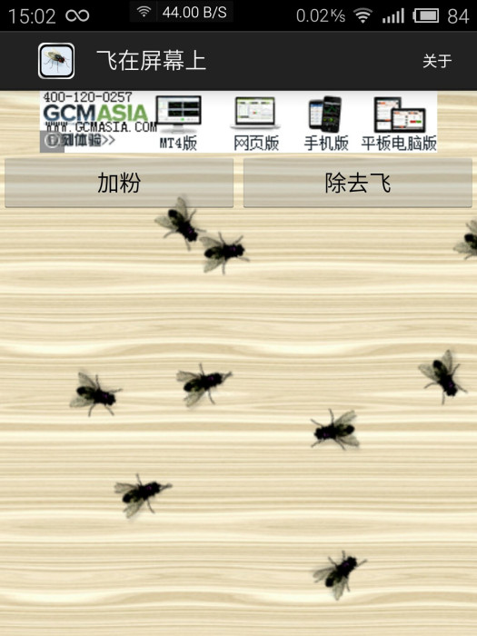 蒼蠅飛 蒼蠅飛