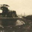 新口岸水塘 新口岸水塘