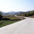 大保村(安徽黃山市黃山區新華鎮新華鄉下轄村) 大保村(安徽黃山市黃山區新華鎮新華鄉下轄村)