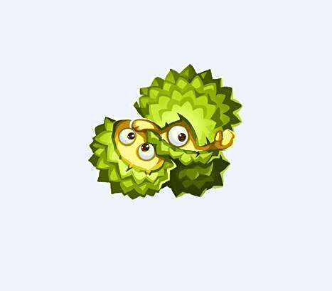 榴槤殼 榴槤殼