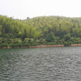 宜興竹海風景區 宜興竹海風景區