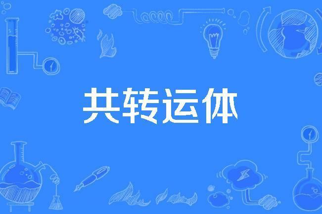 共轉運體 共轉運體