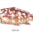 痘瘡病 痘瘡病