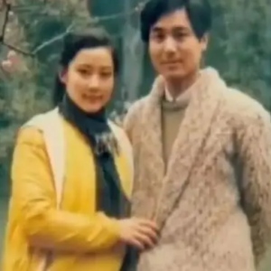 何賽飛