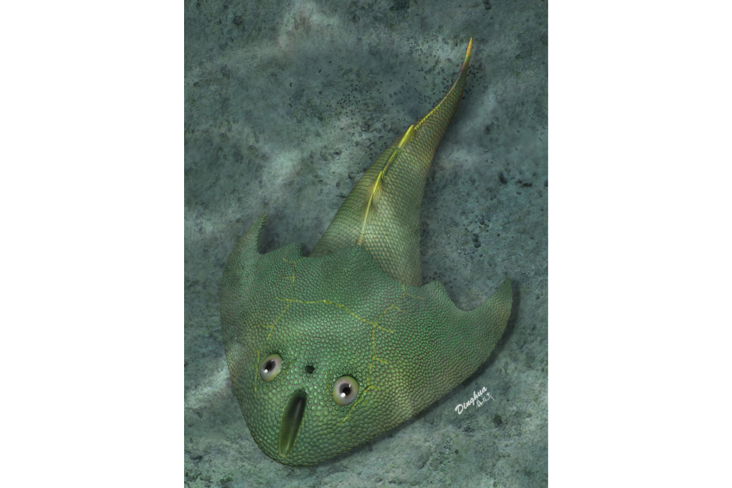 俊卿清水魚