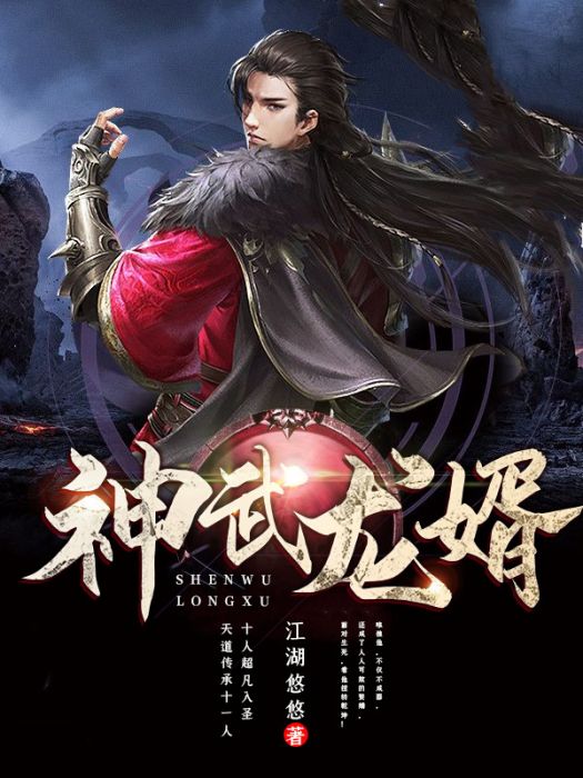 神武龍婿 神武龍婿