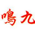 戰鳴九天 戰鳴九天