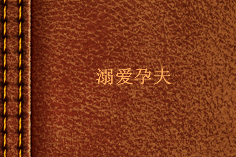 溺愛孕夫