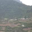 點頂村 點頂村