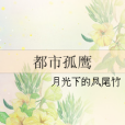 都市孤鷹 都市孤鷹