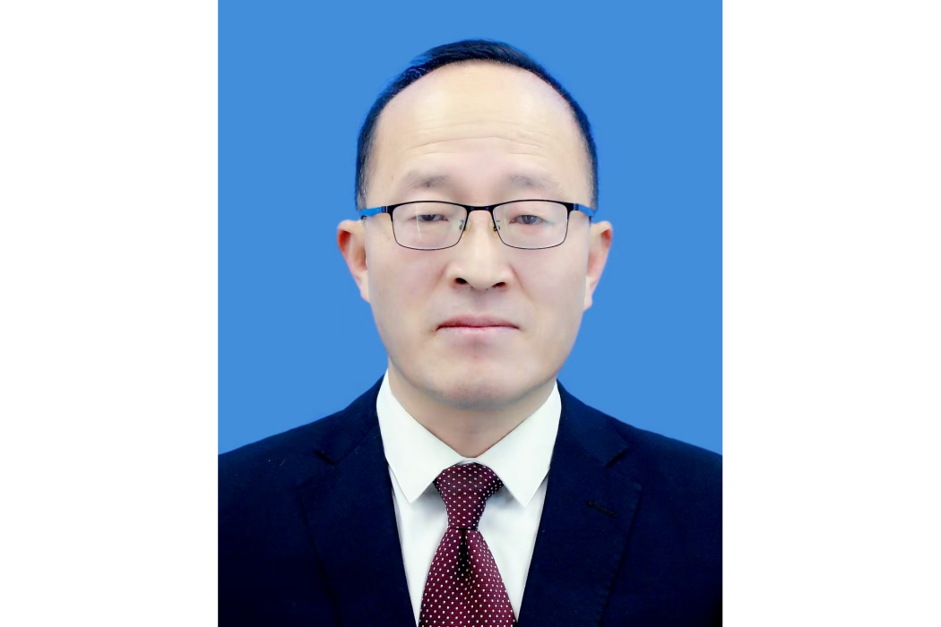 何新征 何新征