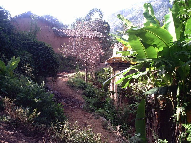 小籠獎村 小籠獎村