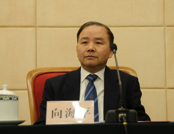 向海平 向海平