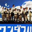 Wonderful Life(2004年反町隆史主演日本電視劇) Wonderful Life(2004年反町隆史主演日本電視劇)