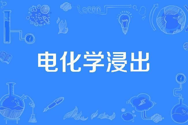電化學浸出 電化學浸出