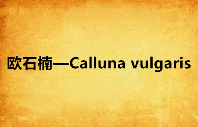 歐石楠—Calluna vulgaris