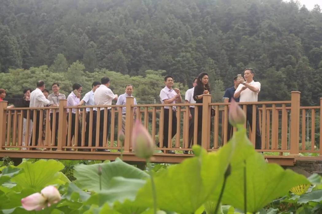 陳俊卿墓 陳俊卿墓
