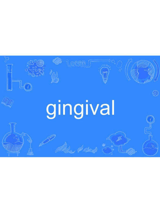 gingival gingival